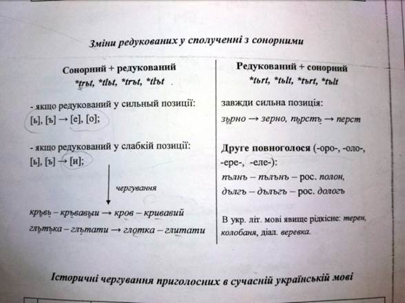 http://cs630723.vk.me/v630723692/3a49e/EevePSaVTpE.jpg